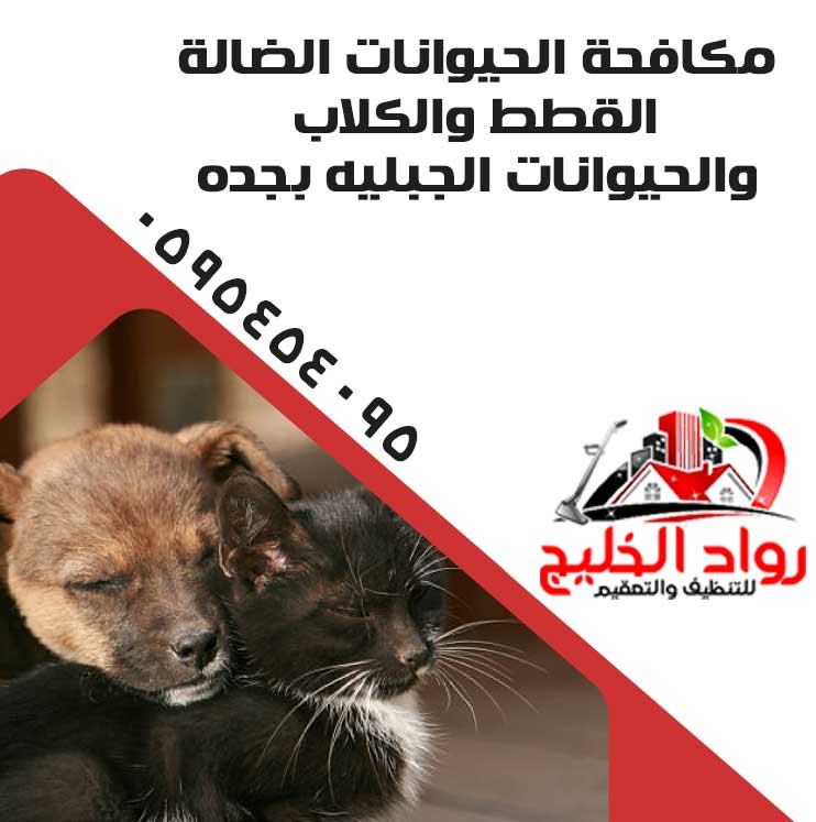 مكافحة الحيوانات الضالة
