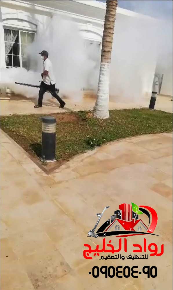 شركة مكافحة الحشرات بالدخان