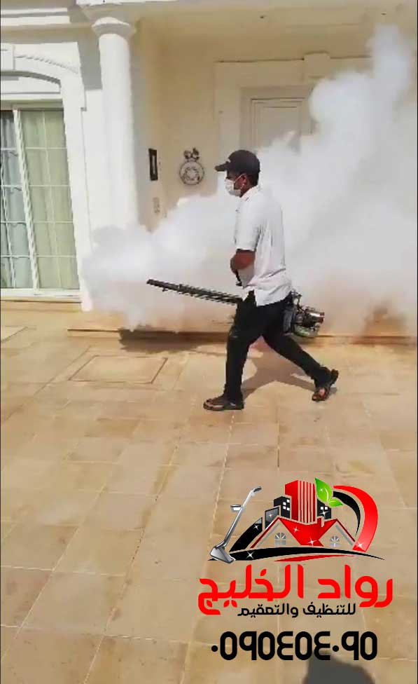 شركة مكافحة الحشرات بالدخان