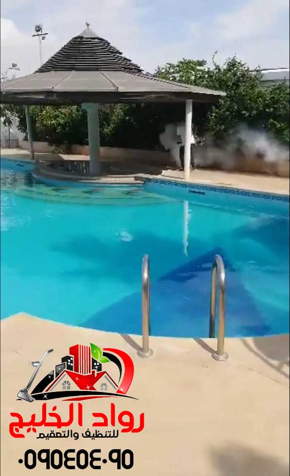 شركة مكافحة الحشرات بالدخان