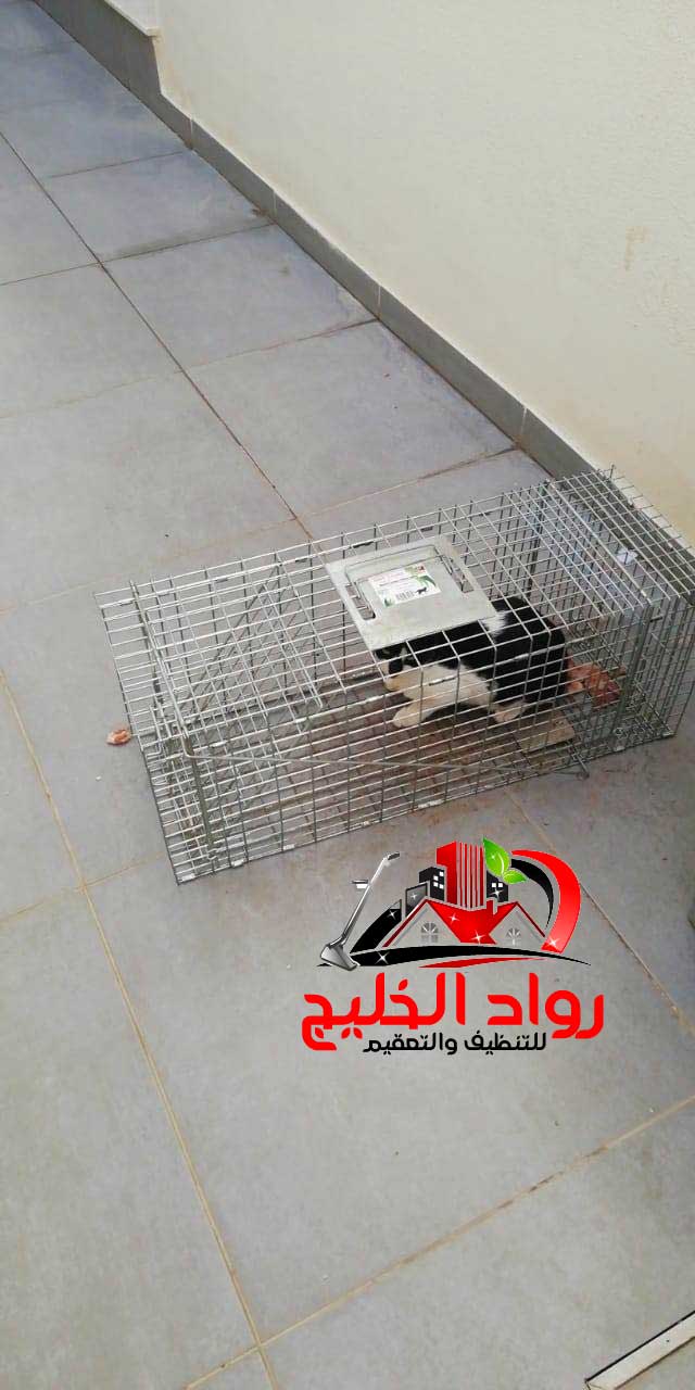 مكافحة الحيوانات الضالة