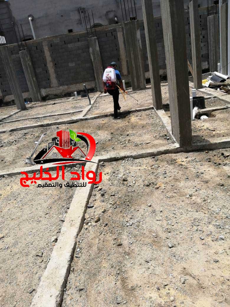 شركه مكافحه حشرات بجده