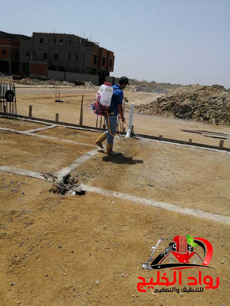 شركه مكافحه حشرات بجده