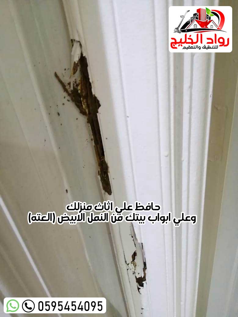 شركه مكافحه حشرات بجده