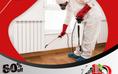 شركه مكافحه حشرات بجده خصم 50٪ شركة رش حشرات بجدة 0595454095