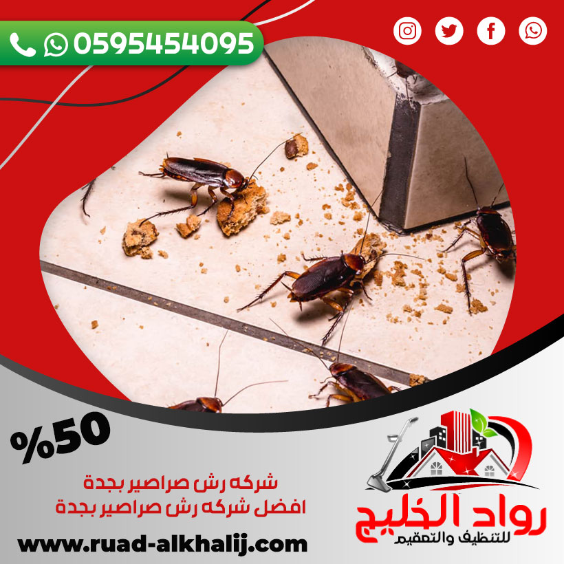 شركه رش صراصير بجدة 50% خصم 0595454095