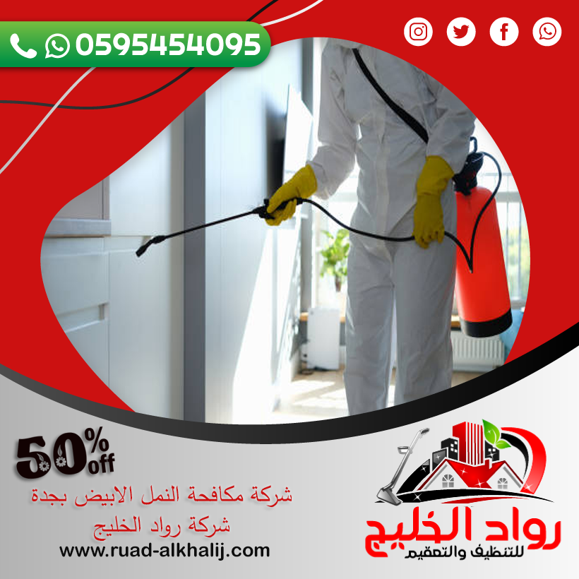 شركة مكافحة النمل الابيض بجدة 50% خصم 0595454095