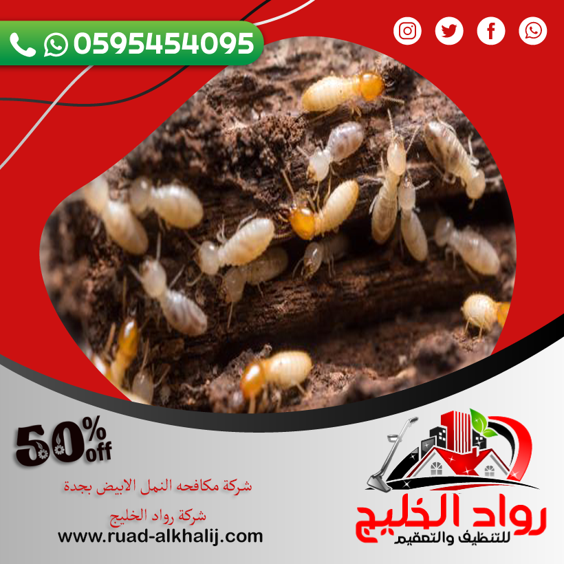 شركة مكافحه النمل الابيض بجدة (العته ) 50% خصم 0595454095