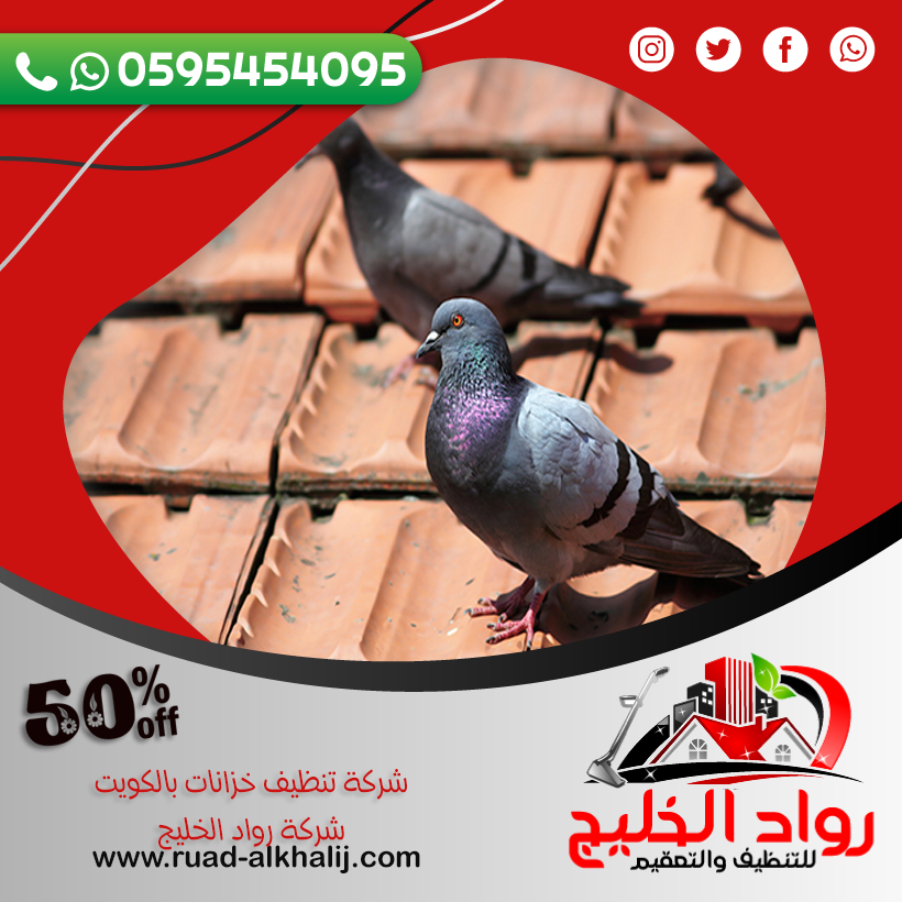 شركة تركيب طارد الحمام بجدة