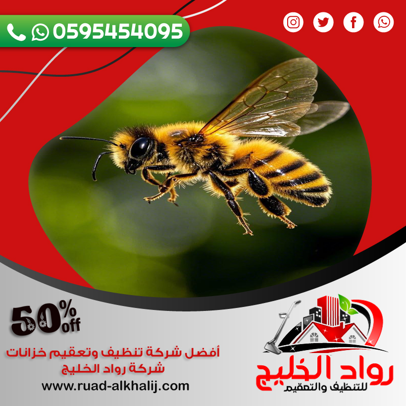 مكافحة النحل