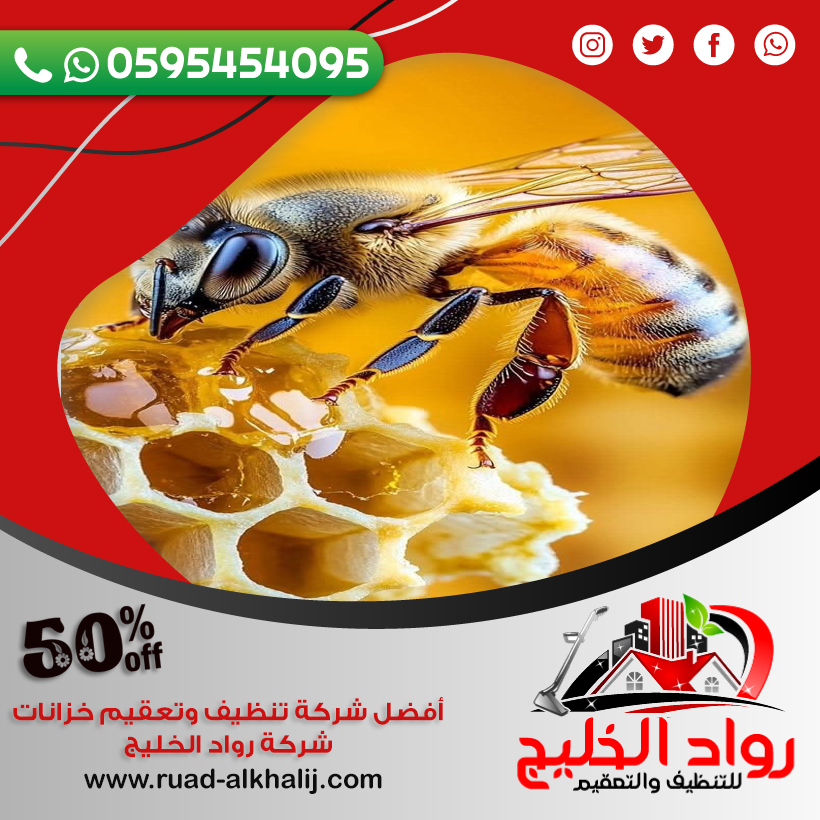 شركة مكافحة النحل بجدة