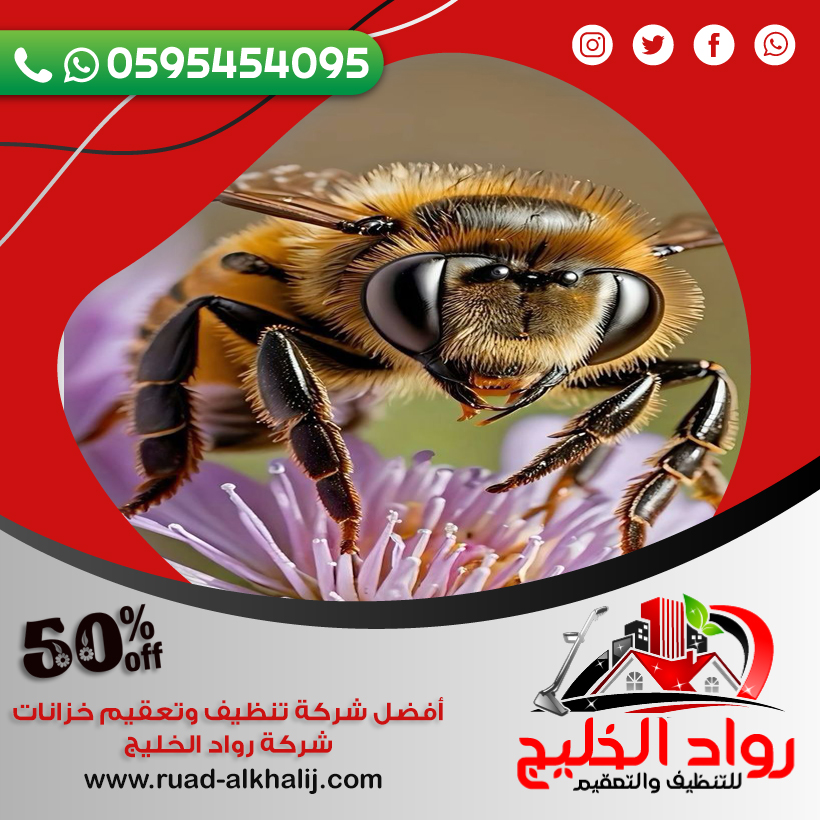 شركة مكافحة النحل بجدة