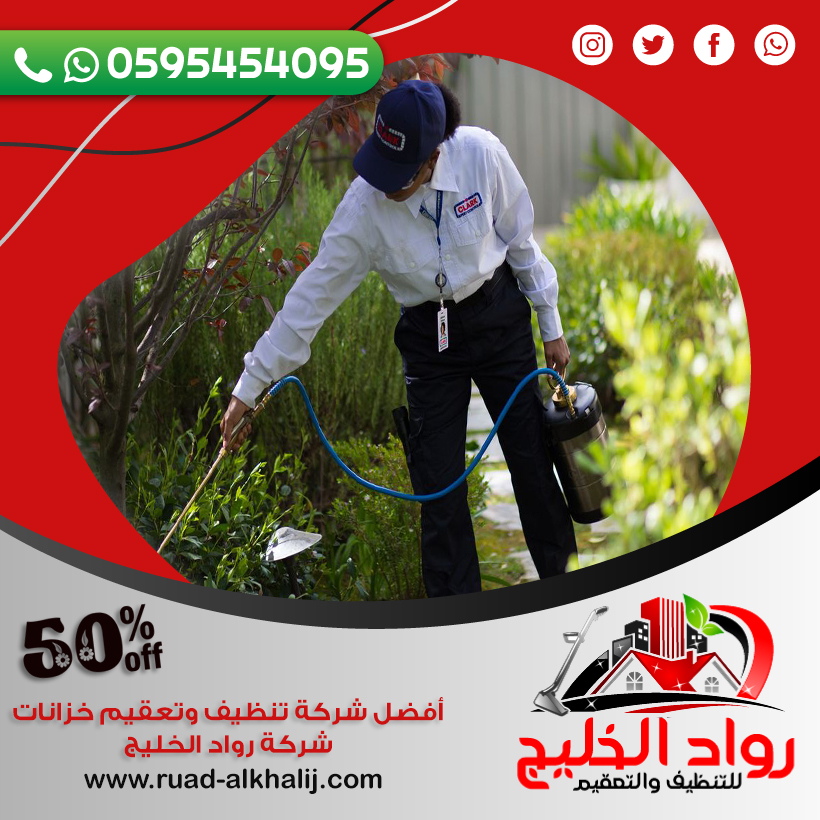 شركة رش النمل الابيض بجدة