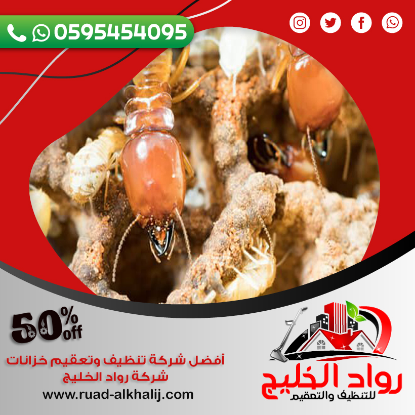 شركة مكافحة النمل الابيض بالليث