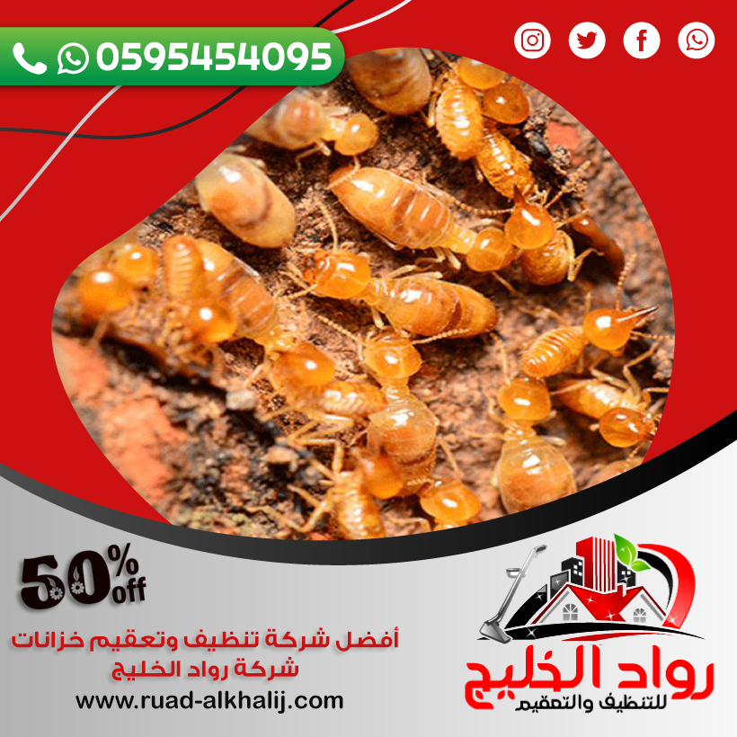 شركة مكافحة النمل الابيض بالليث