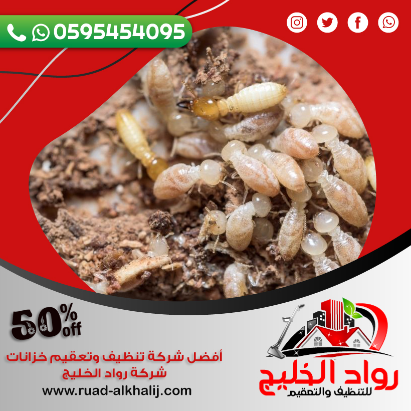 شركة مكافحة النمل الابيض بالليث
