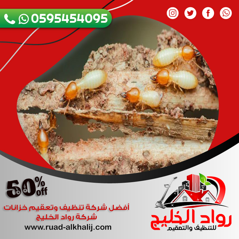 شركة مكافحة النمل الابيض بالطائف