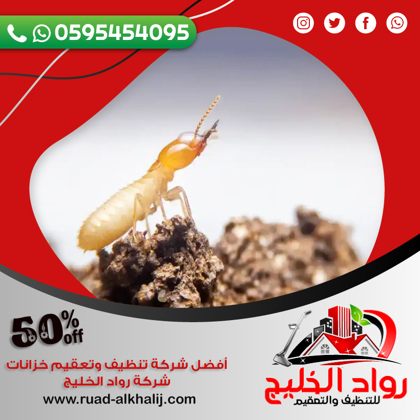 شركة مكافحة النمل بجدة