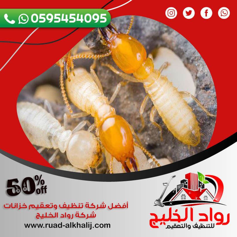 مكافحة النمل الابيض قبل البناء بجدة