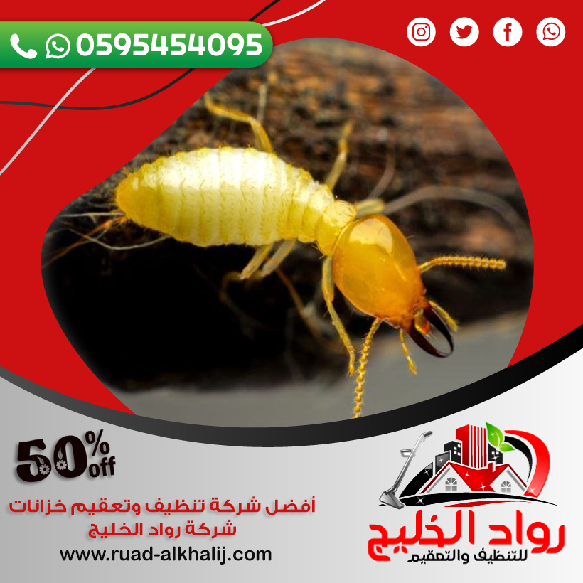 مكافحة النمل الابيض قبل البناء بجدة