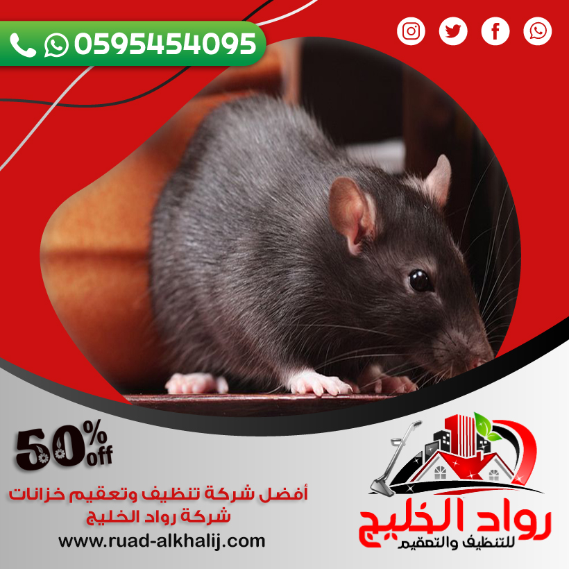 شركة مكافحة فئران برابغ