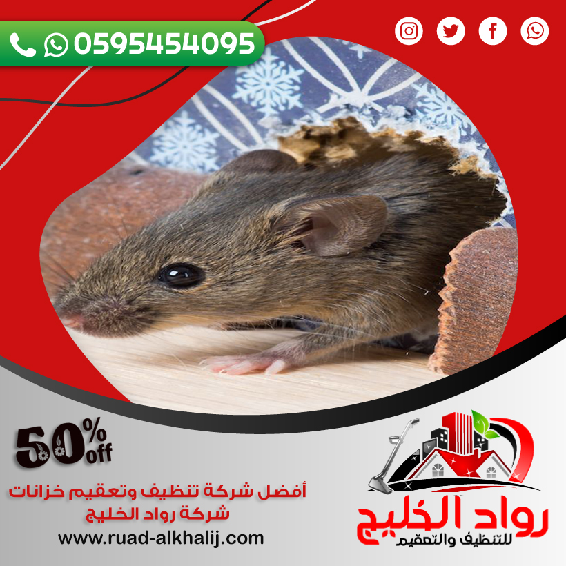 شركة مكافحة الفئران بالليث