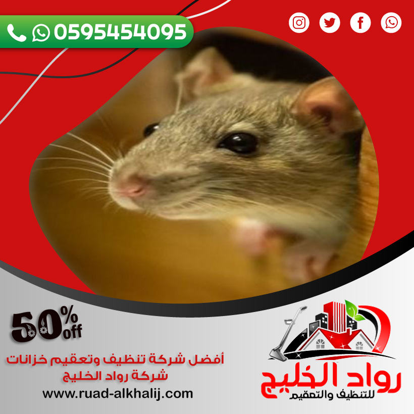 شركة مكافحة الفئران بالليث