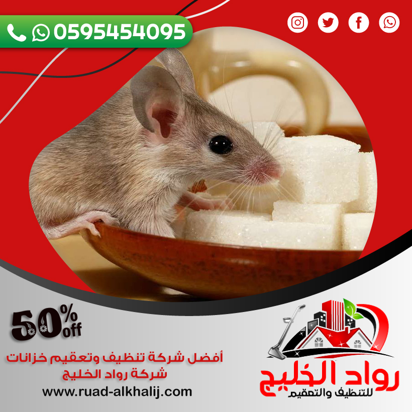 شركة مكافحة الفئران بالليث