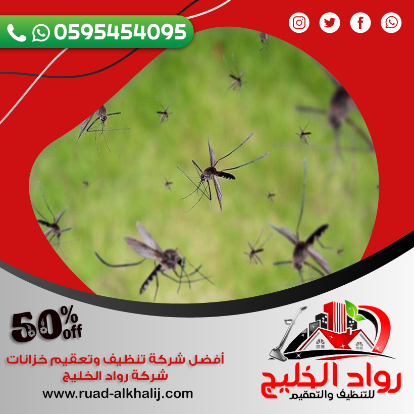 شركة مكافحة البعوض بجدة