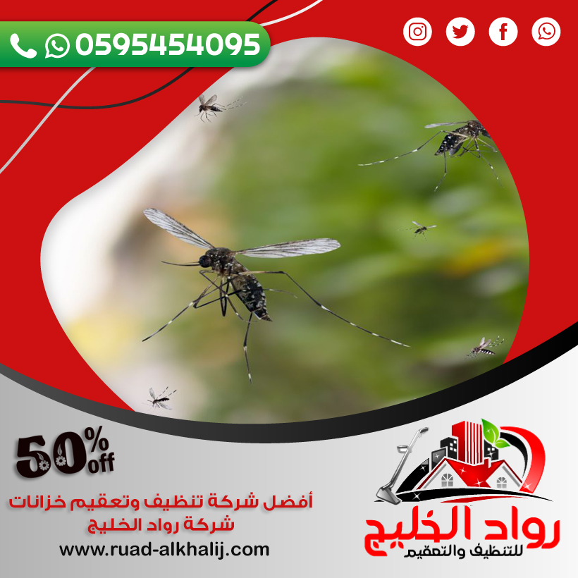 شركة مكافحة البعوض بجدة