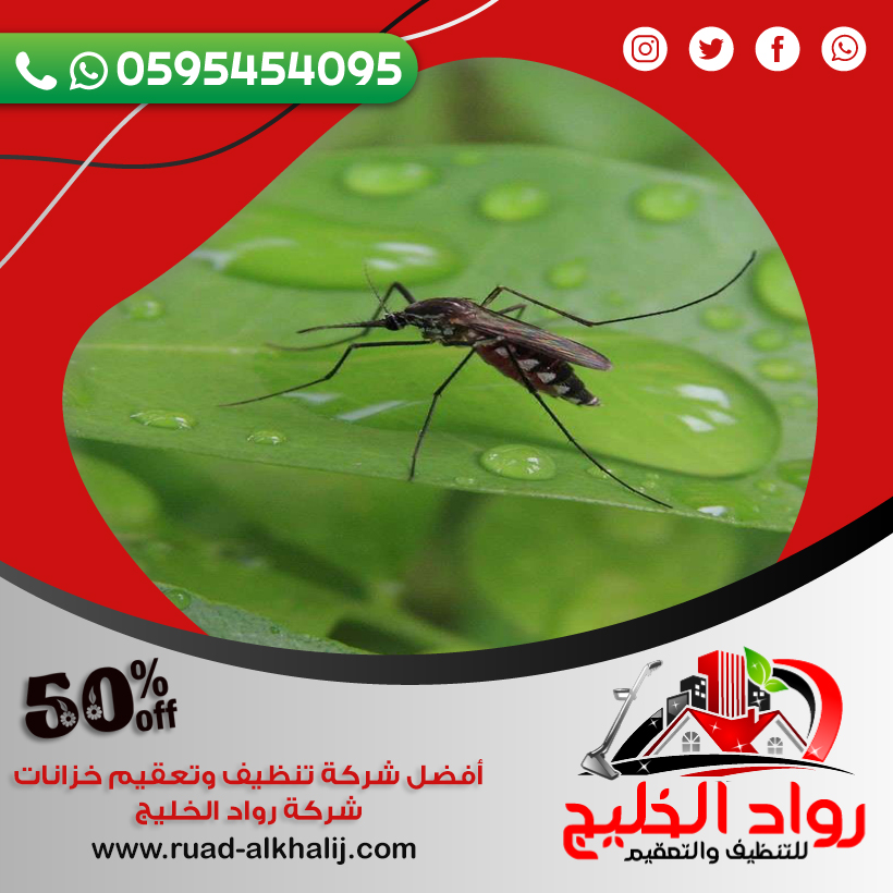 شركة مكافحة البعوض بجدة