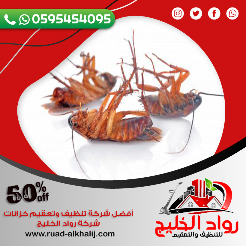 شركة مكافحة الصراصير بجدة