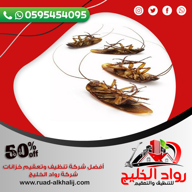 شركة مكافحة الصراصير بجدة