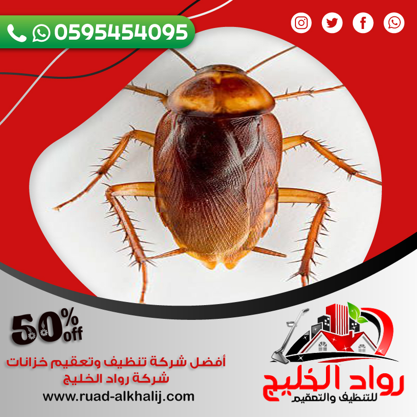 شركة مكافحة الصراصير بجدة