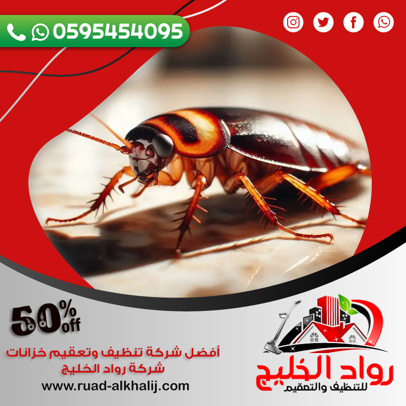 شركه رش صراصير بجدة