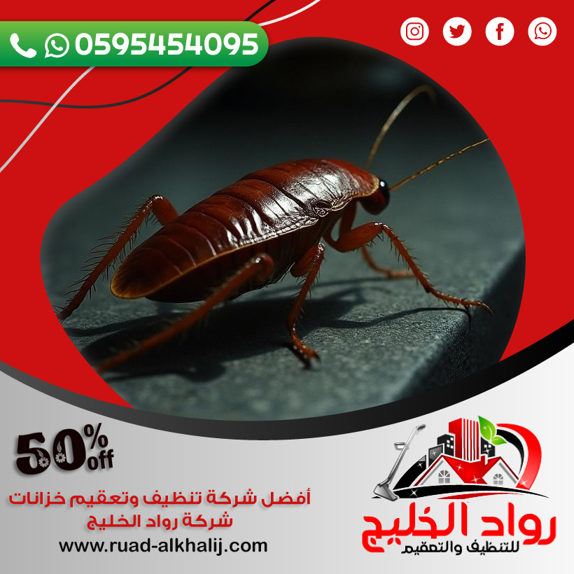 شركه رش صراصير بجدة