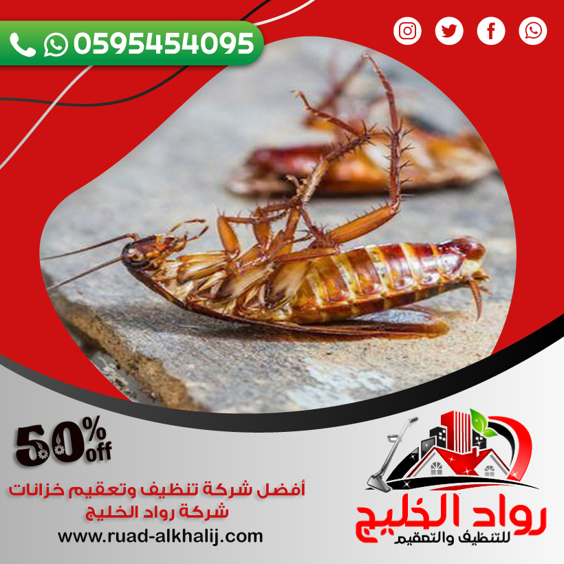 شركة مكافحة صراصير