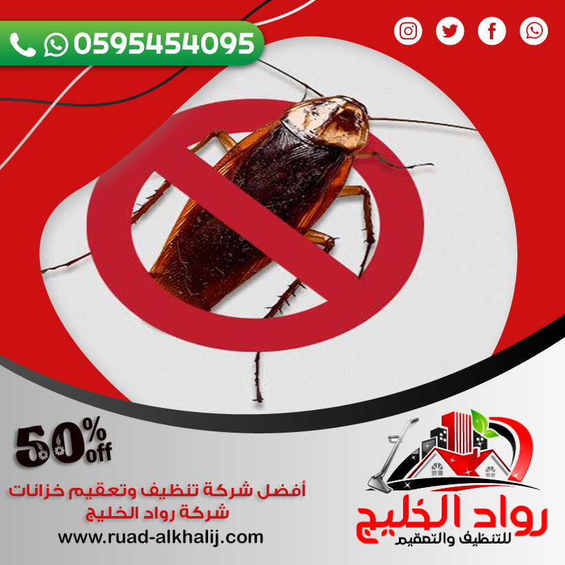شركة مكافحة صراصير بالليث