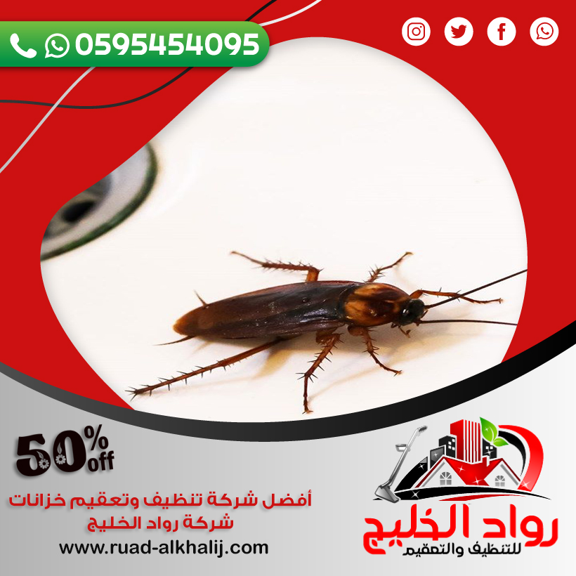 شركة مكافحة صراصير بالليث