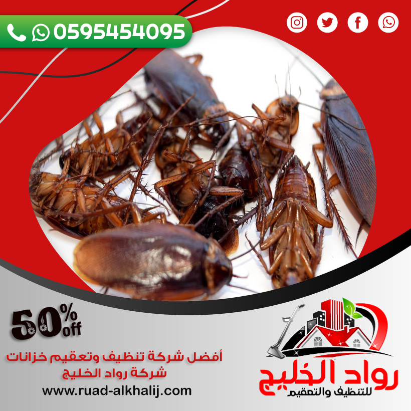 شركة مكافحة صراصير بالليث