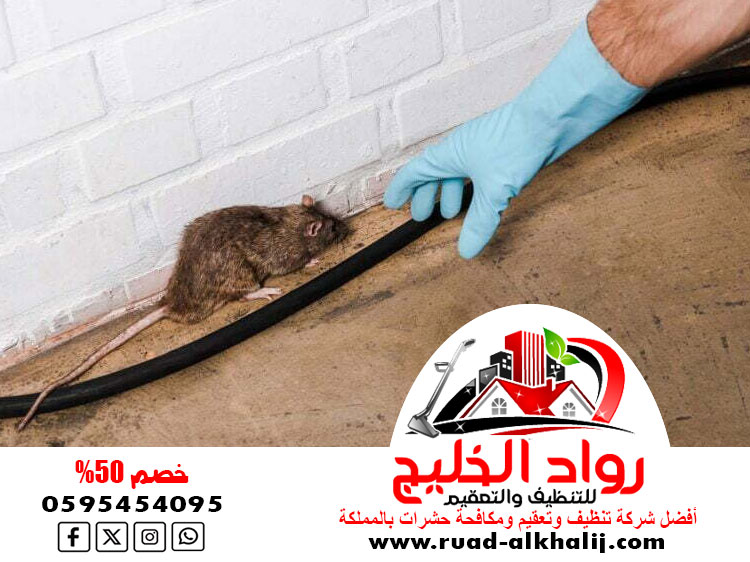 افضل شركة مكافحة الفئران جدة