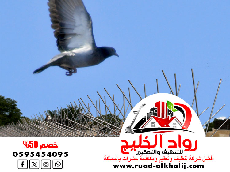 شركة تركيب طارد الحمام بجدة