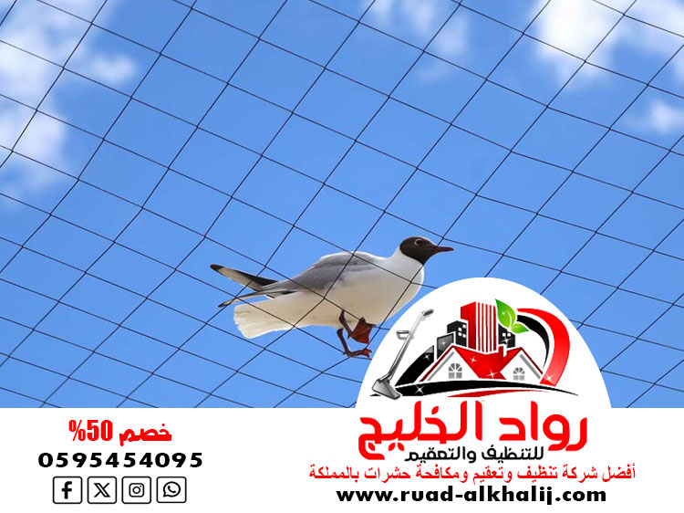 شركة تركيب طارد الحمام بجدة