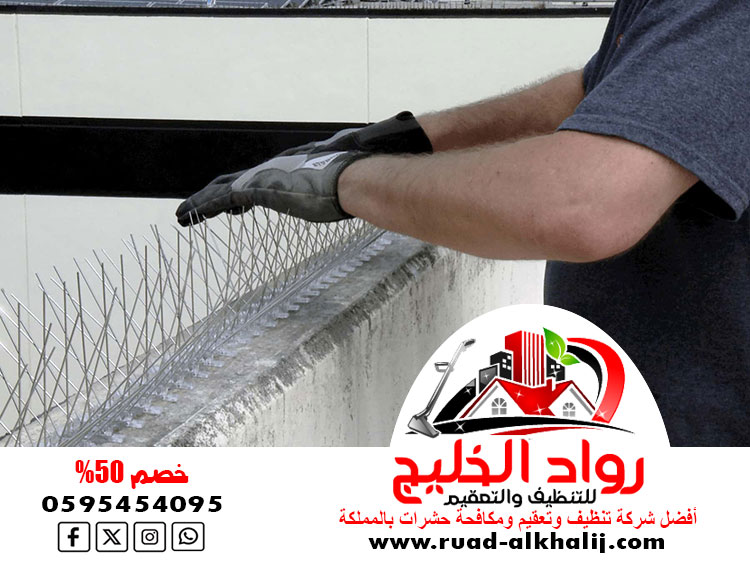 شركة تركيب طارد الحمام بجدة