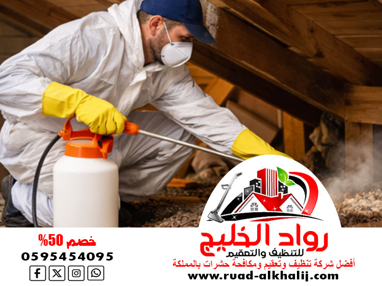 شركة رش النمل الابيض بجدة