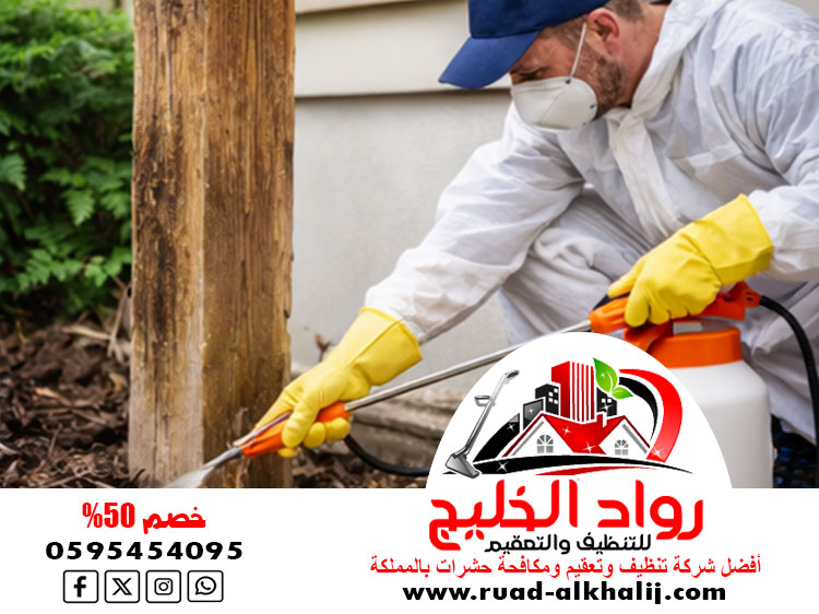 شركة رش النمل الابيض بجدة