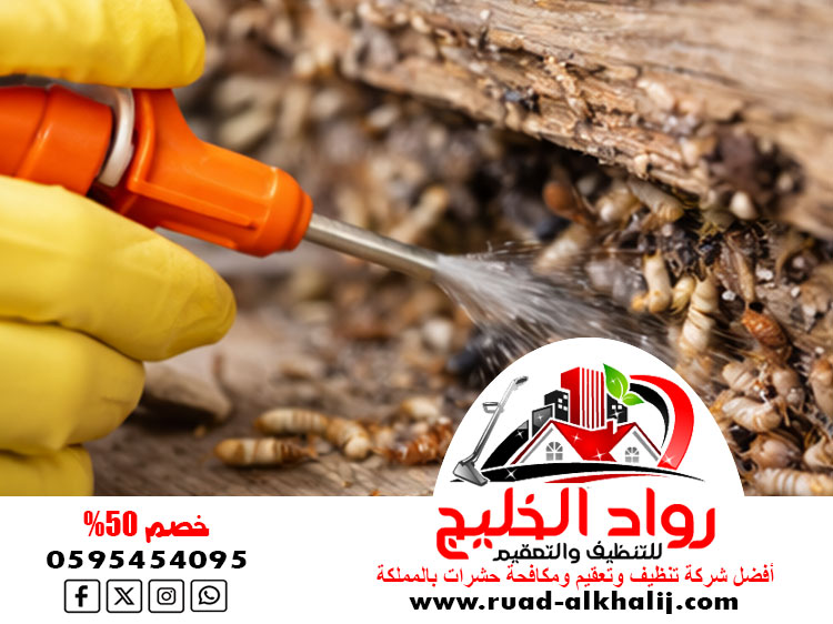 شركة رش النمل الابيض بجدة