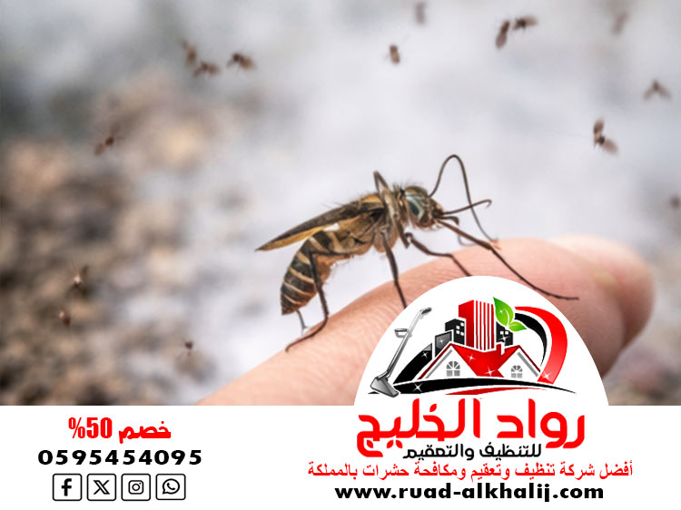 شركة مكافحة البعوض بجدة