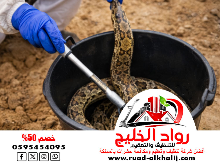 شركة مكافحة الثعابين بجدة