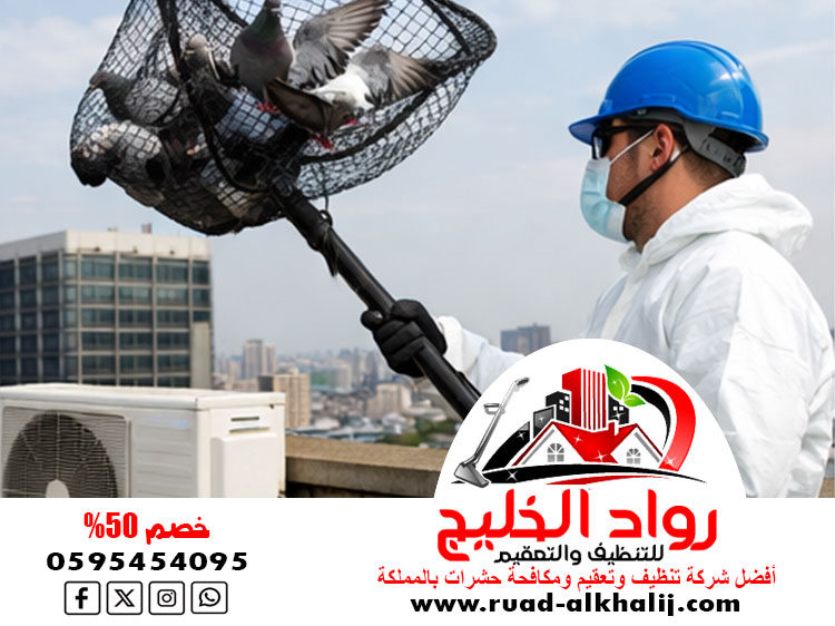 شركة مكافحة الحمام بجدة